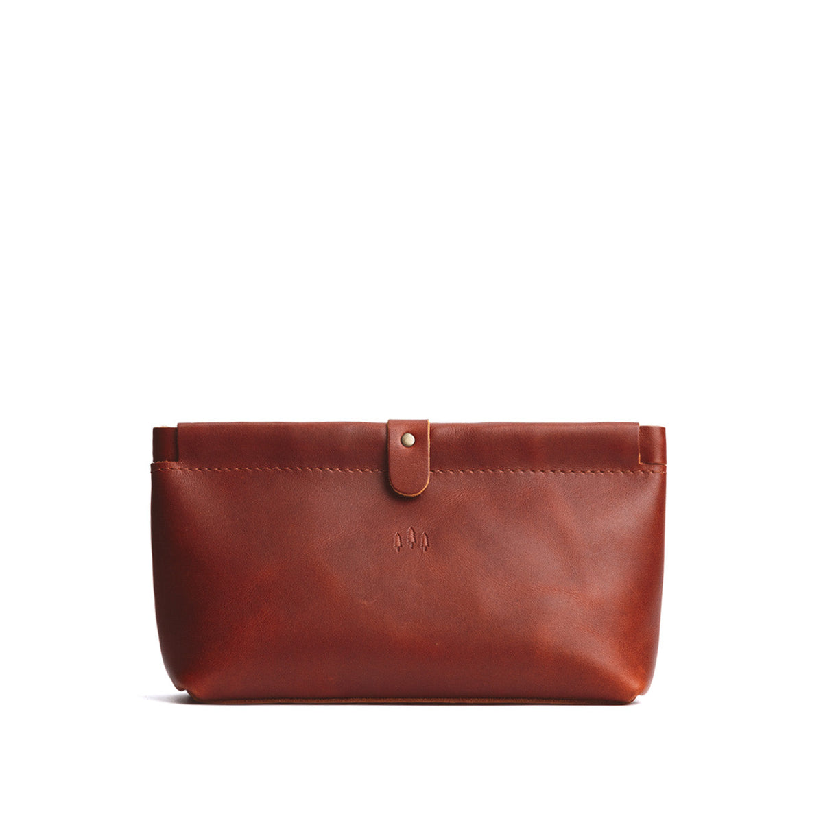 Famed Framed Pouch