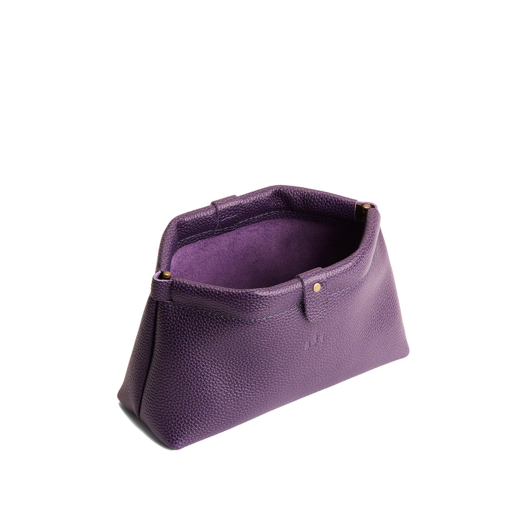 Famed Framed Pouch